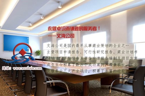 编写锦州可行性研究报告新能源项目