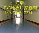 贵州商用幼儿园学校专业生产PVC地板图片