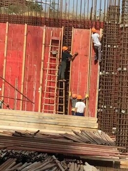 年薪四十万以上诚聘建筑木瓦工钢筋工水电工以色列包食宿出国劳务