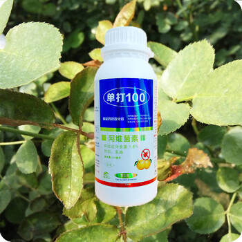 柑橘紅蜘蛛防治技術(shù)，什么藥殺紅蜘蛛有效，殺紅蜘蛛好的藥