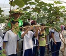 东莞东城研学一日游行走中的课堂教学