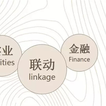 发布新零售新金融的ELF模式