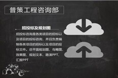 双辽哪里做项目申请报告的公司沟域经济图片0