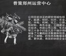 商洛哪里写项目申请报告的公司商洛茶叶种植