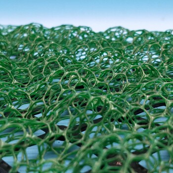 三维植被网三维网垫植草护坡三维土工网垫厂家选山东泰安诺联