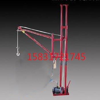 雙柱吊運(yùn)機(jī)樓房裝修小型吊運(yùn)機(jī)便攜式小型吊機(jī)提升機(jī)