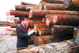 东南亚橡胶木进口报关流程