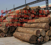 厦门港进口木材需要什么资质