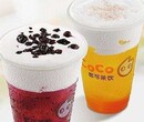 嘉兴市coco奶茶加盟轻松开店火爆招商图片