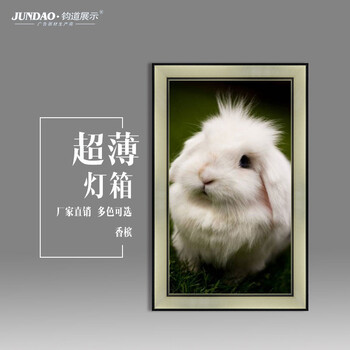 廠家供應(yīng)廣告燈箱廣告燈箱廠家批發(fā)代理