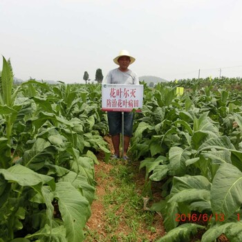 微生物菌种专属保藏服务