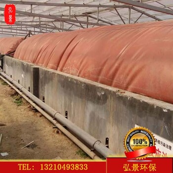 沼气发酵袋、沼气池封罩带动养猪业转型设备