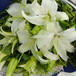 武汉鲜花绿植百合花，单朵百合鲜花3.3元，武汉同城送货，当天到