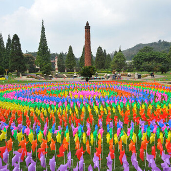 风车节出售