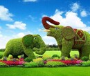 景观绿雕展览设计生产图片