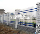 新型锌钢护栏学校护栏网学校围墙护栏学校护栏网的价格图片