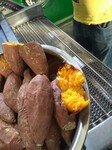 商用全自动烟薯蜜薯红薯清洗烘烤线厂家直销提供工艺