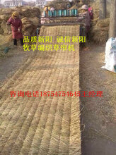鑫联牌草帘机用途全自动草帘机价格图片