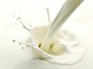 北京牛奶进口-报关费用查询