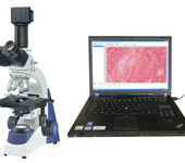 SA3300-DPC数码显微镜