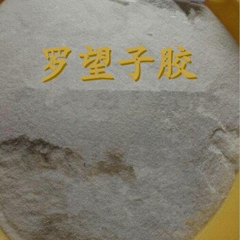 大批量现货供应食品级罗望子胶