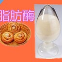 脂肪酶生產(chǎn)廠家，脂肪酶價(jià)格，脂肪酶作用