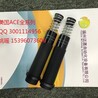 AMS200意大利SEKO赛高可带PH探头加药泵TPR800