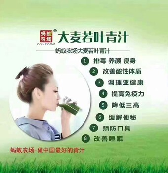 蚂蚁农场大麦若叶青汁谁喝过152-780-00255