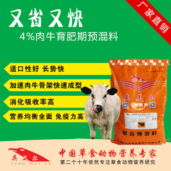 育肥肉牛飼養(yǎng)