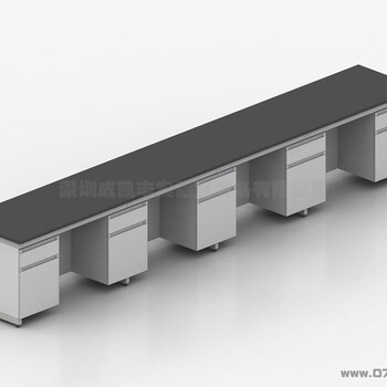 深圳成凯丰实验室装备有限公司钢木边台
