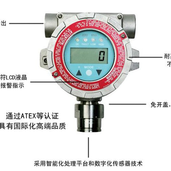 RAEGuardSLEL可燃气体检测仪