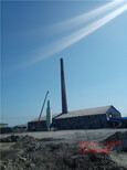 漯河砖厂脱硫脱硝西藏锅炉脱硫脱硝图片4