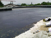 花都钢结构雨棚天面彩钢瓦铁皮瓦防水补漏施工图片2