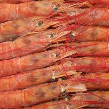 北京冷冻虾进口国外提供的资料