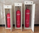 柜式干粉灭火装置消防CCCF认证-国标GB16668-2010图片
