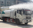 洒水抑尘车厂家-中国销量第一的东风洒水车生产企业图片