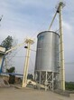 雪莱仓储机械设备有限公司钢板仓TCZK08209储存玉米小麦稻谷钢板仓图片
