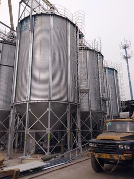厂家镀锌波纹板装配式钢板仓储存小麦玉米大豆稻谷等筒仓粮食输送设备除尘设备等