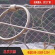 安全防护网钢丝绳安全防护网钢丝绳价格_安全防护网钢图片