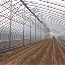塘沽安裝彩鋼棚弧形蓬承包鋼結(jié)構(gòu)砂石料棚
