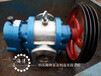 LC型/LCW型罗茨泵,输送高粘度介质,转速低,半保温全保温可定制
