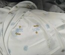 婴童厂单面汗布有一卷提花数量不多图片