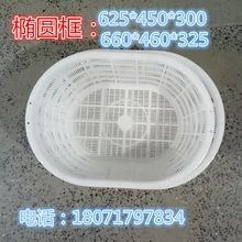 橢圓形籮大號(hào)加厚塑料腰籮網(wǎng)眼果蔬菜籮筐魚籮運(yùn)輸周轉(zhuǎn)筐