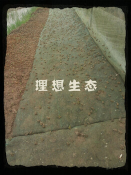 王理青蛙養(yǎng)殖技術(shù)加盟