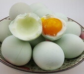 四川康之绿绿壳鸡蛋