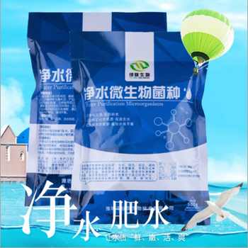 凈水微生物菌種