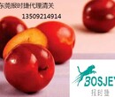 广州机场专业提供鲜水果进口清关代理服务图片