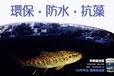 鳟鱼育苗池漆，鳟鱼养殖池漆，养鳟鱼池漆，台湾南宝