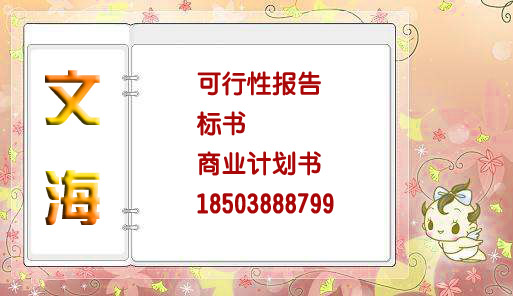 阿拉善代写项目计划书专注策划多年