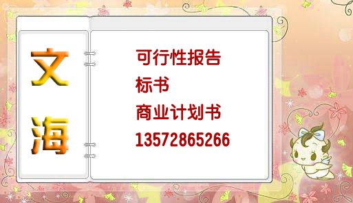 成都代写可行性报告公司三产业项目代写